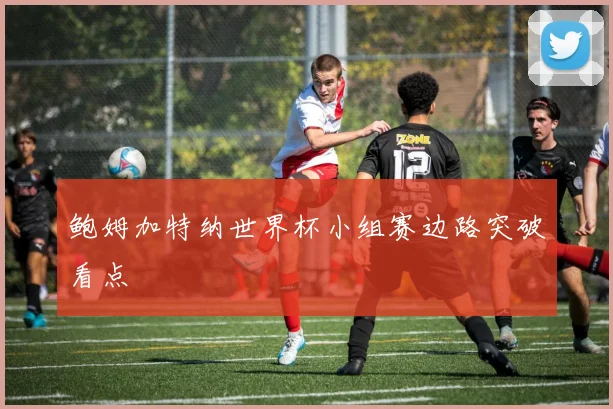 鲍姆加特纳世界杯小组赛边路突破看点