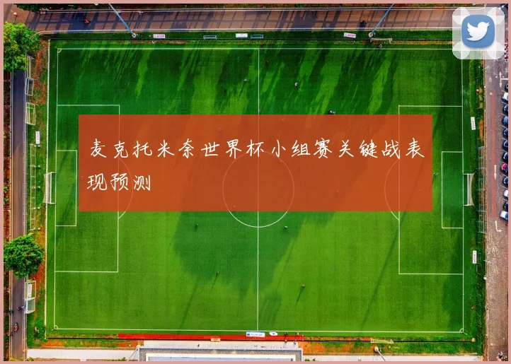 麦克托米奈世界杯小组赛关键战表现预测