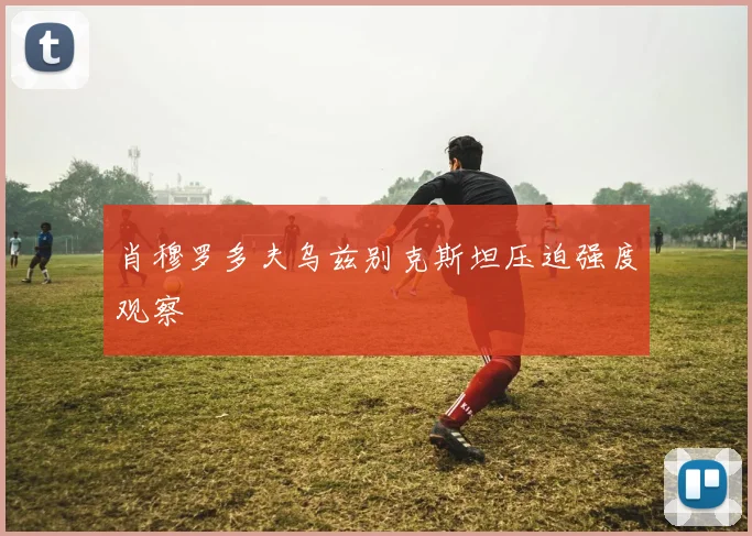 肖穆罗多夫乌兹别克斯坦压迫强度观察
