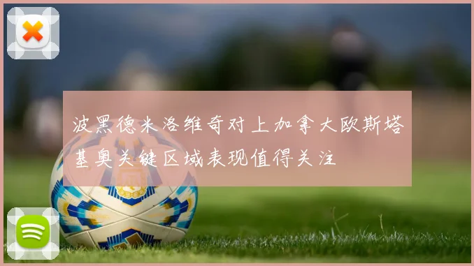 波黑德米洛维奇对上加拿大欧斯塔基奥关键区域表现值得关注